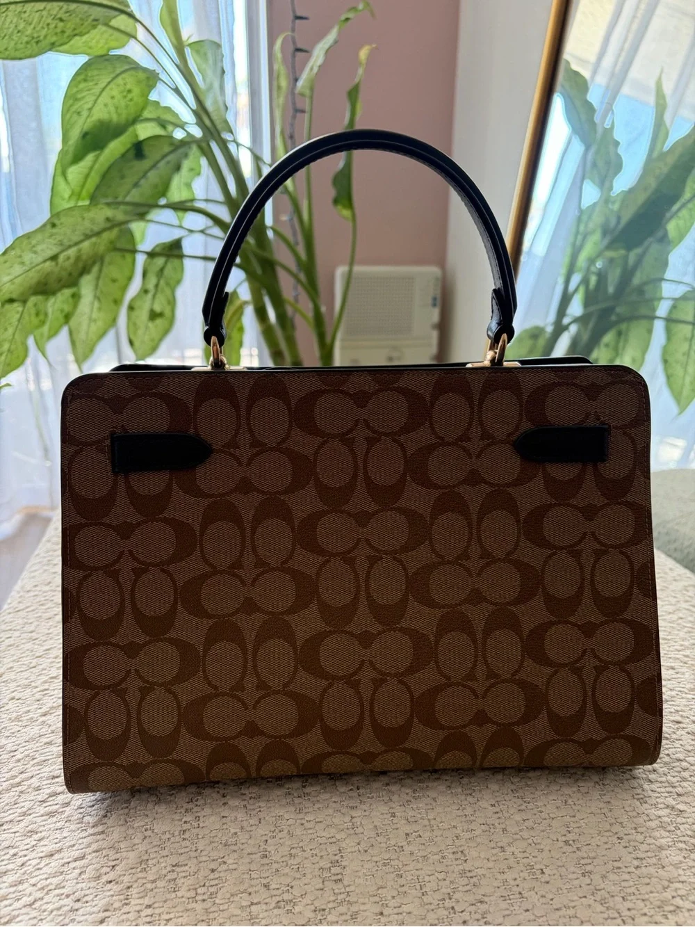Coach classic brown